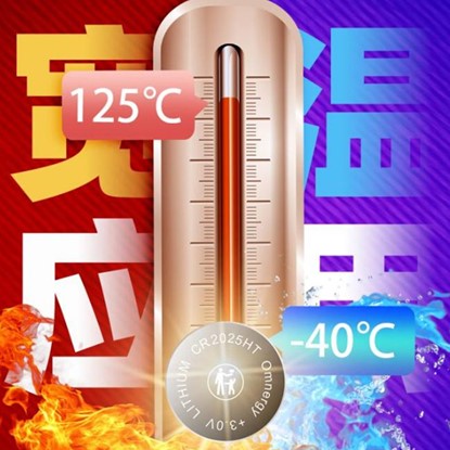 wide temperature battery