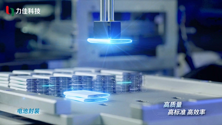 #pouch cell batttery