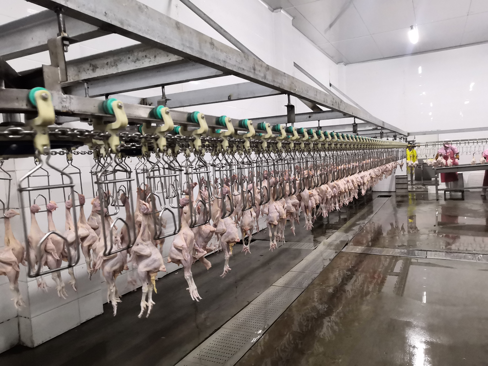 Slaughter House For Poultry-chicken Killing Machine Factory