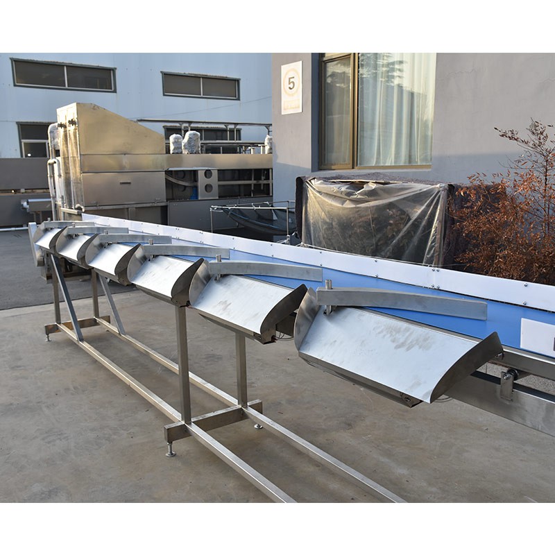 เครื่องชั่งน้ำหนักสำหรับโรงฆ่าไก่