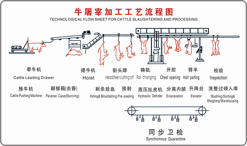 cattle slaughter machine