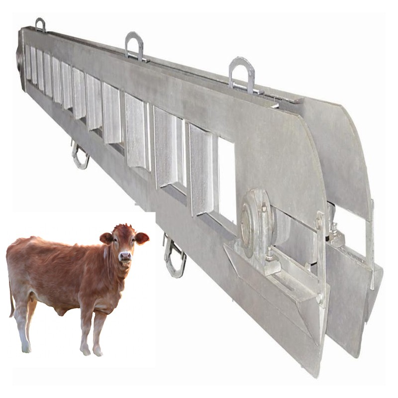 เครื่องฆ่าวัว - สายการฆ่าวัว