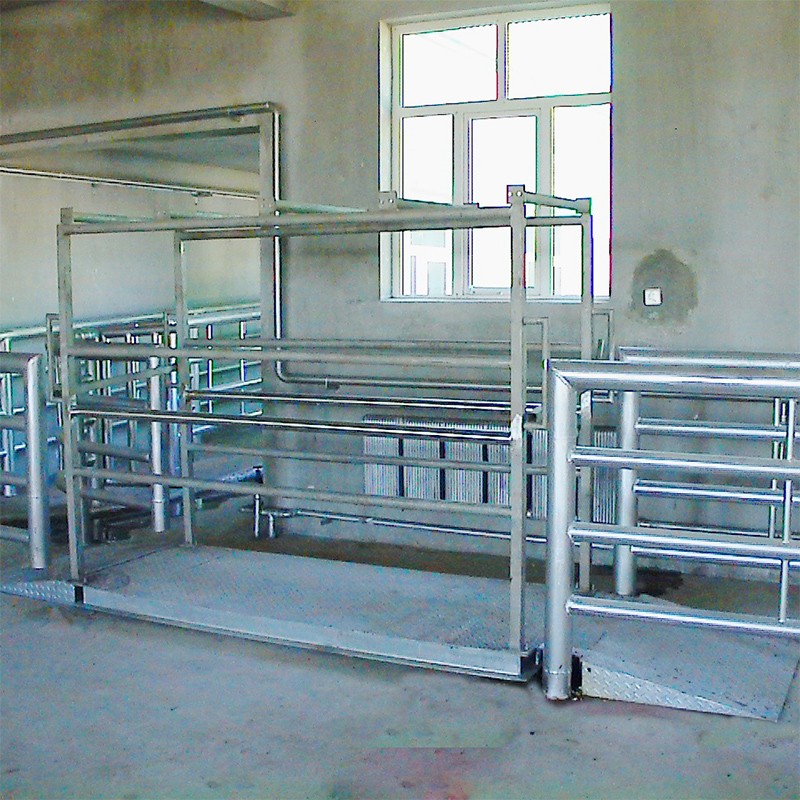 cattle slaughter machine-cattle slaughter line Factory