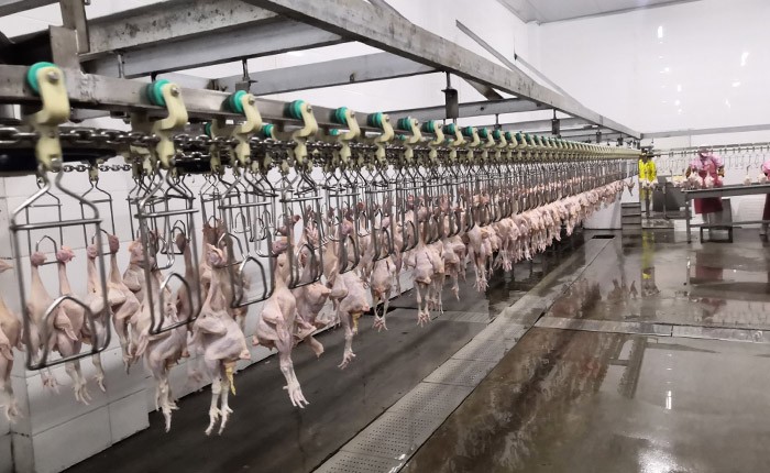 Slaughter equipment use site