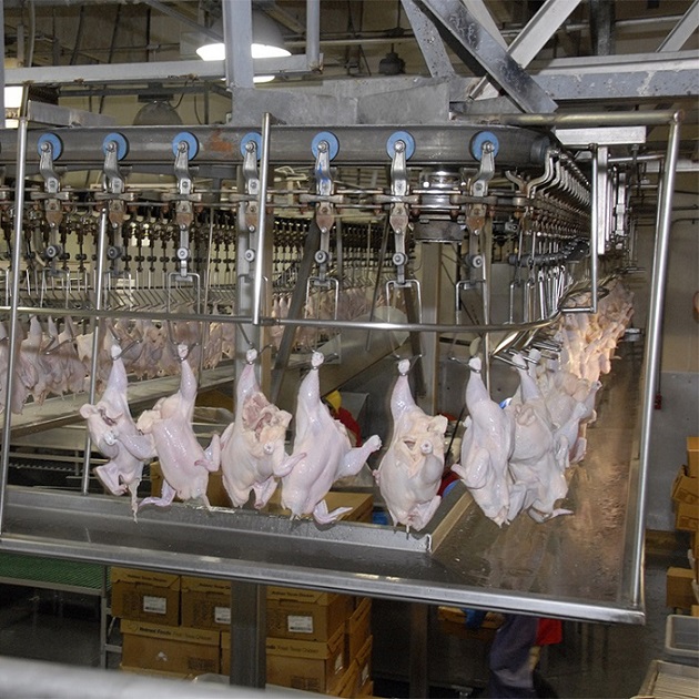 Slaughter Chicken Plant için komple yarı otomatik kesim makinesi satın al,Slaughter Chicken Plant için komple yarı otomatik kesim makinesi Fiyatlar,Slaughter Chicken Plant için komple yarı otomatik kesim makinesi Markalar,Slaughter Chicken Plant için komple yarı otomatik kesim makinesi Üretici,Slaughter Chicken Plant için komple yarı otomatik kesim makinesi Alıntılar,Slaughter Chicken Plant için komple yarı otomatik kesim makinesi Şirket,