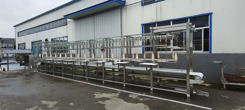 Línea de corte de pollo semiautomática