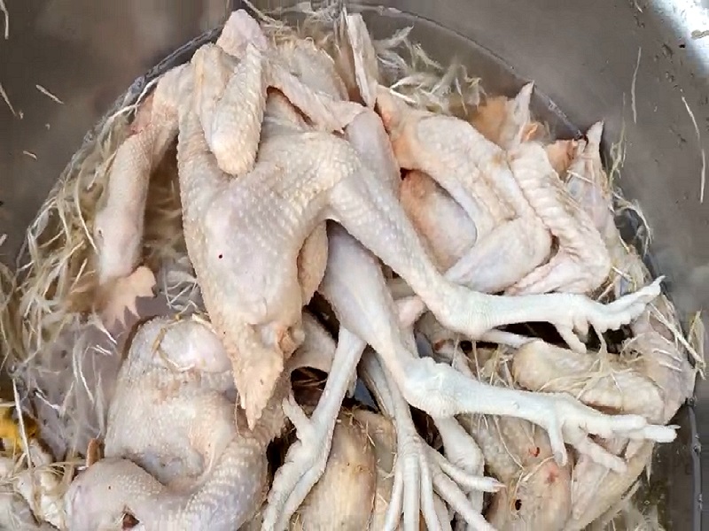 โรงเชือดไก่เล็ก 300-500 ตัว/ชม.