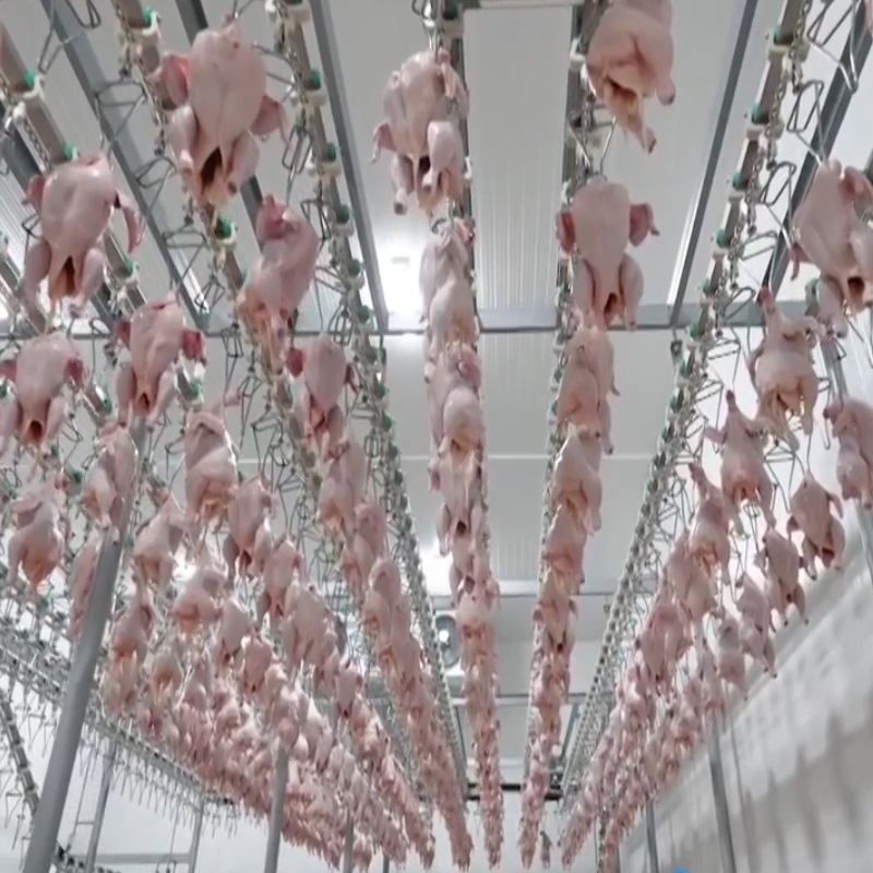 chicken slaughter machine-turnkey project