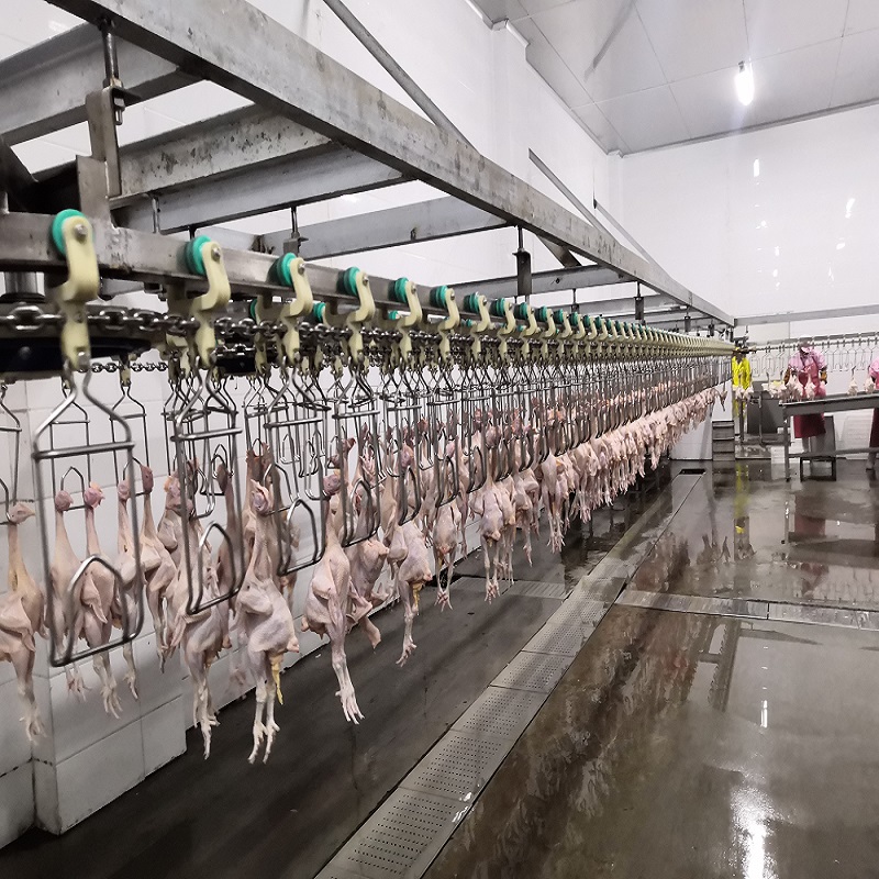 Slaughter Chicken Plant için komple yarı otomatik kesim makinesi