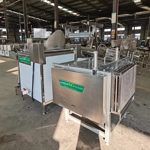 chicken slaughterhouse-chicken cleaning machine Factory