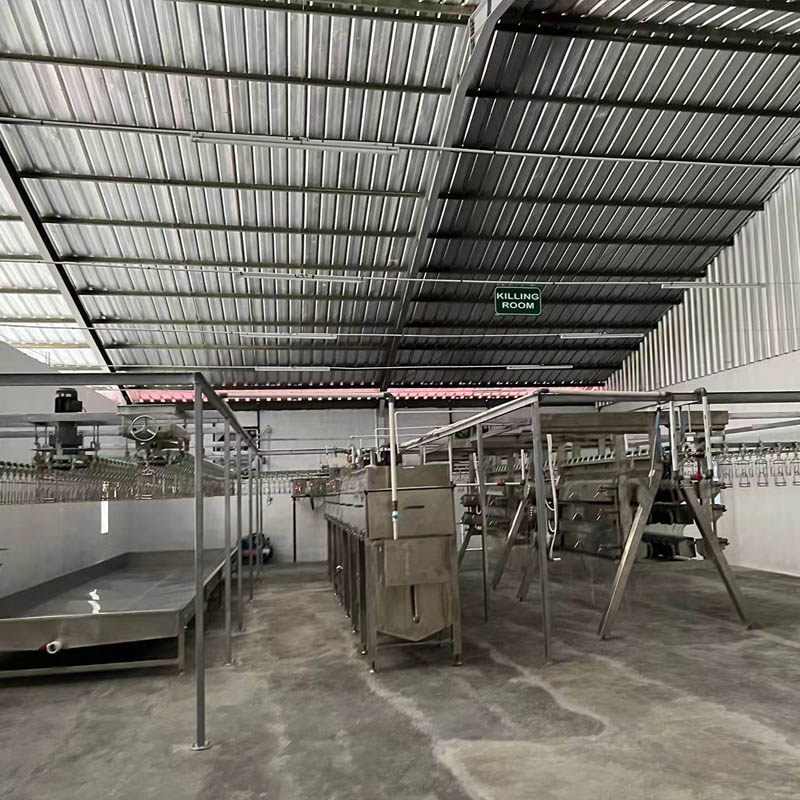 โรงฆ่าไก่ 5,000 ตัวต่อชั่วโมง