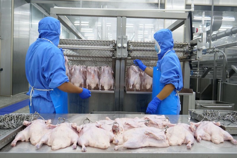 Oven bebek ayam panggang industri dengan tampilan suhu