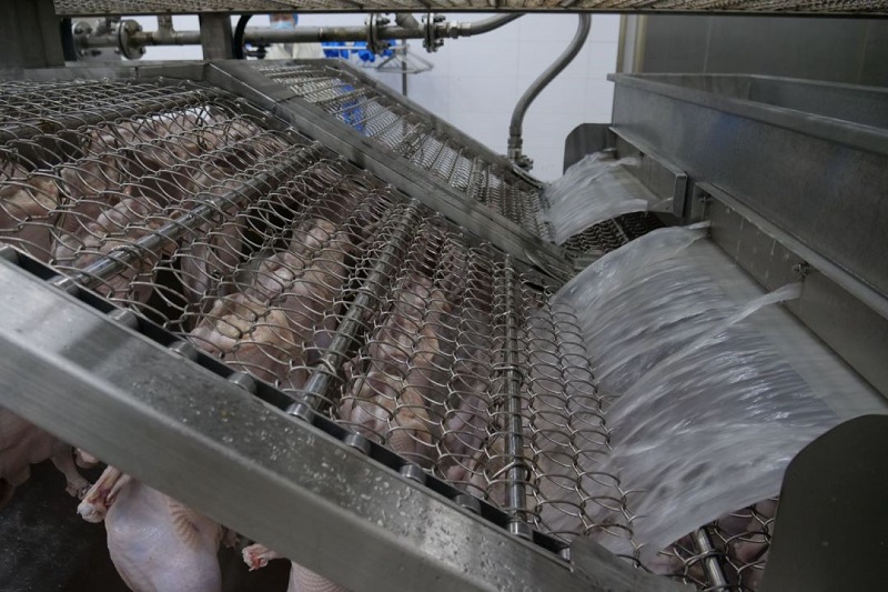 Máquina multifuncional de torrefação de frango em túnel