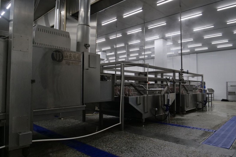 Máquina multifuncional de torrefação de frango em túnel