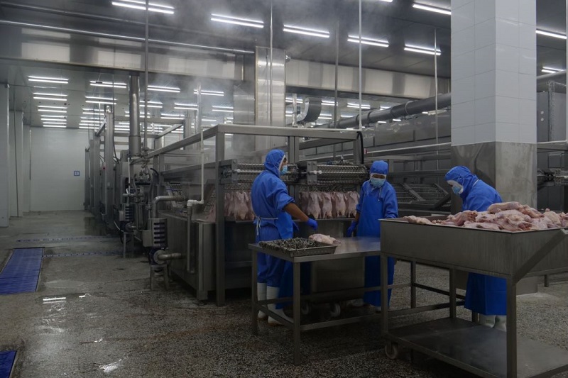 Máquina multifuncional de torrefação de frango em túnel