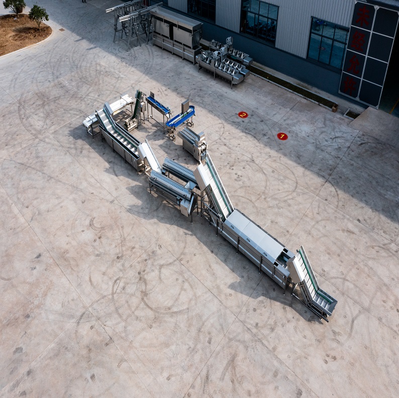 Peladora automática de patas de pollo