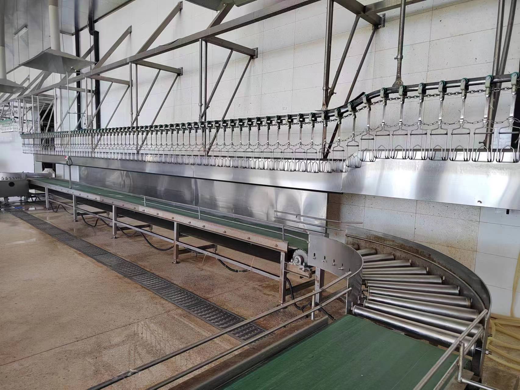 Chicken slaughter processing line