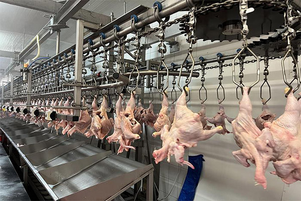 Soluciones completas para mataderos