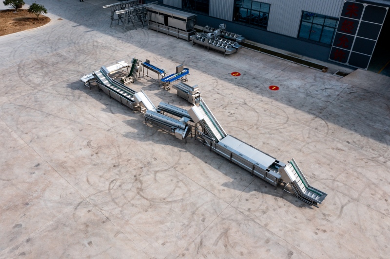 Talian Pemprosesan Kaki Ayam