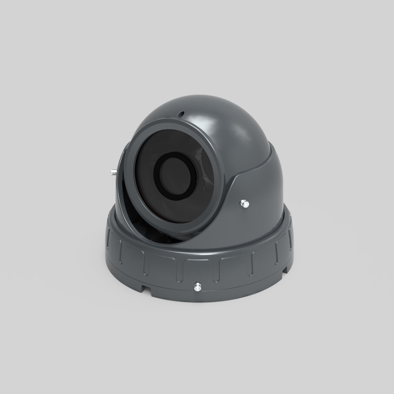 Locomotief Netwerk HD Digitale Dome Camera