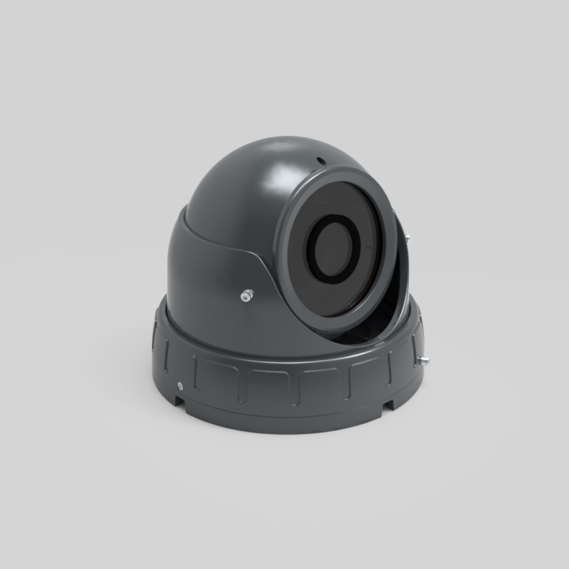 Locomotief Netwerk HD Digitale Dome Camera