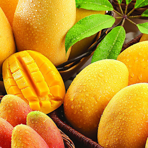 Fresh and Juicy mango aroma