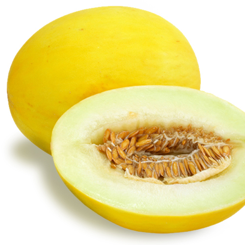 Melon Flavor