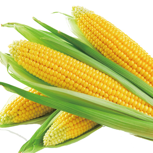 Sweet Corn Flavor