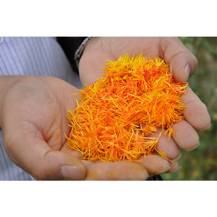 saffron extract powder