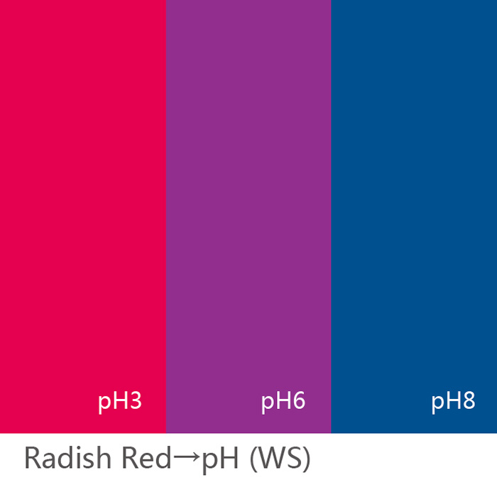 Radish Red E163