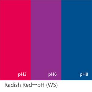 Radish Red E163