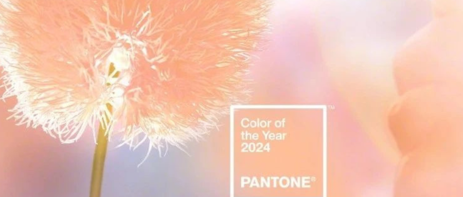 The Color of the Year for 2024 is 