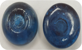 Gardenia blue