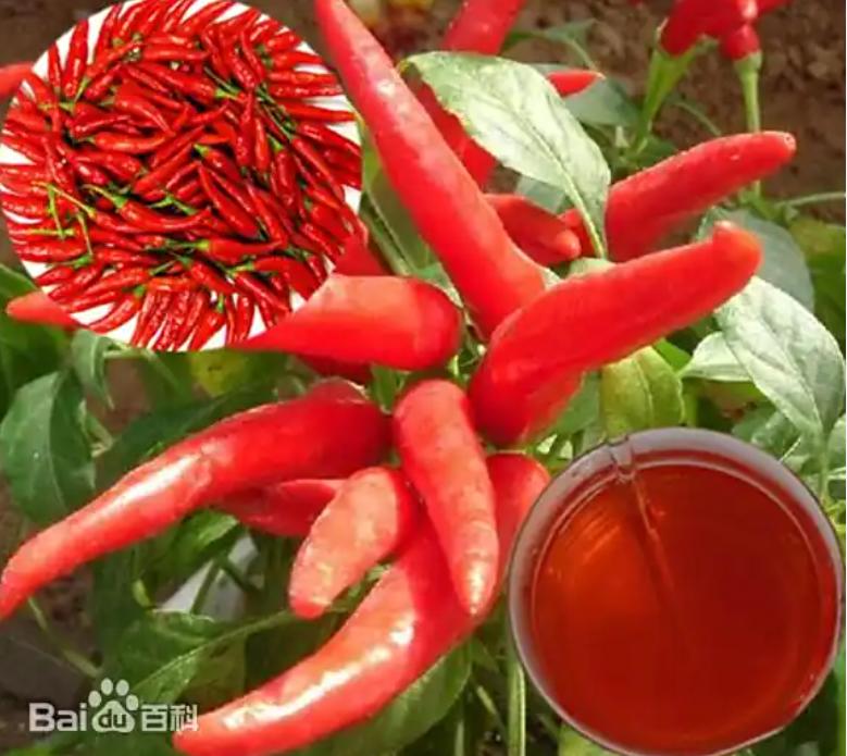 paprika red with good resistance