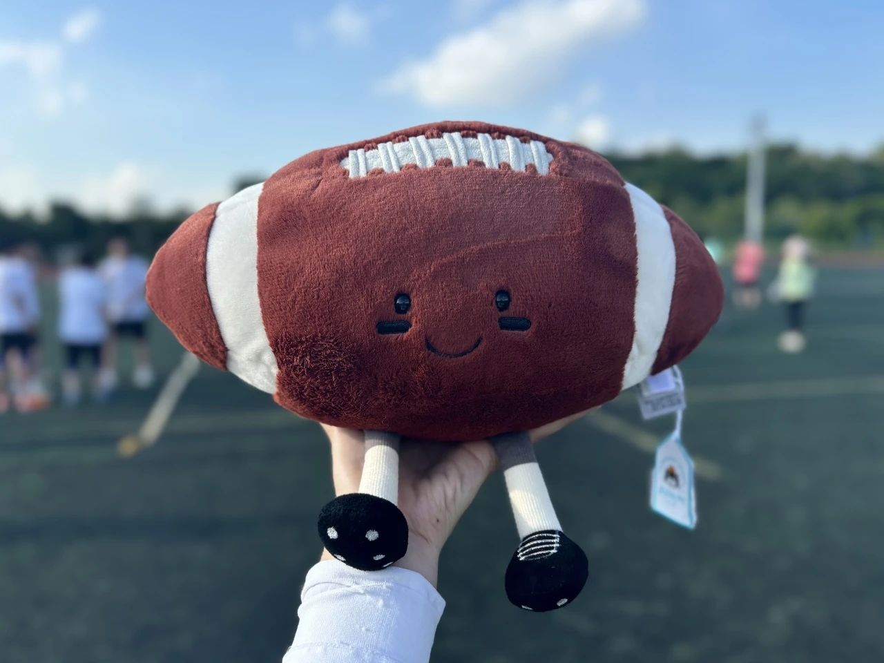 橄榄球16.jpg 橄榄球16.jpg