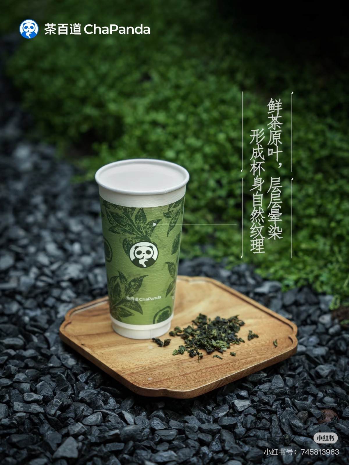 叶绿素铜钠盐