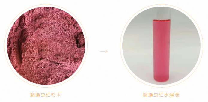 天然色素 天然色素