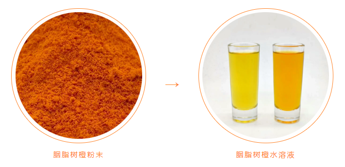 胭脂树橙