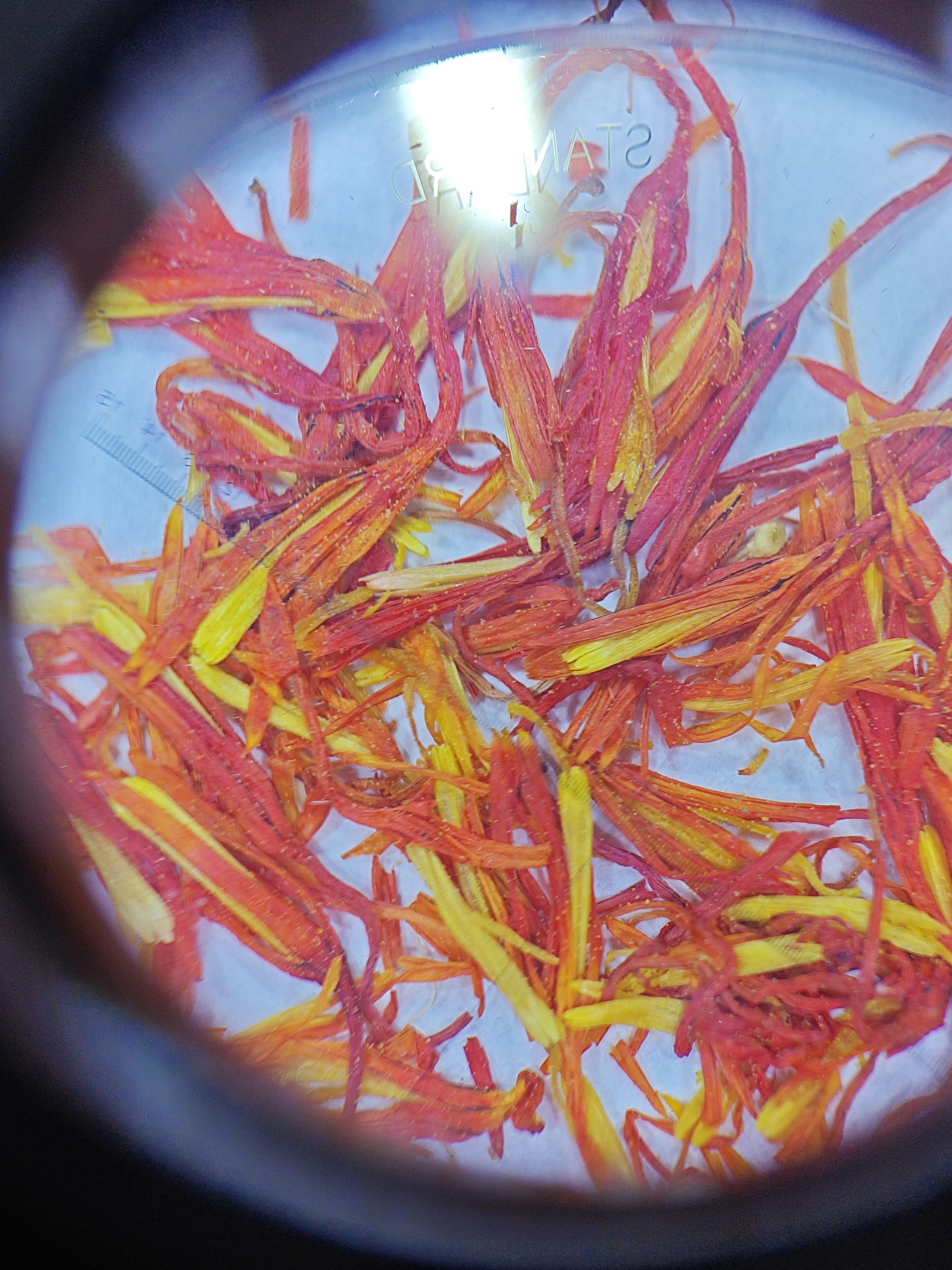 safflower extract powder