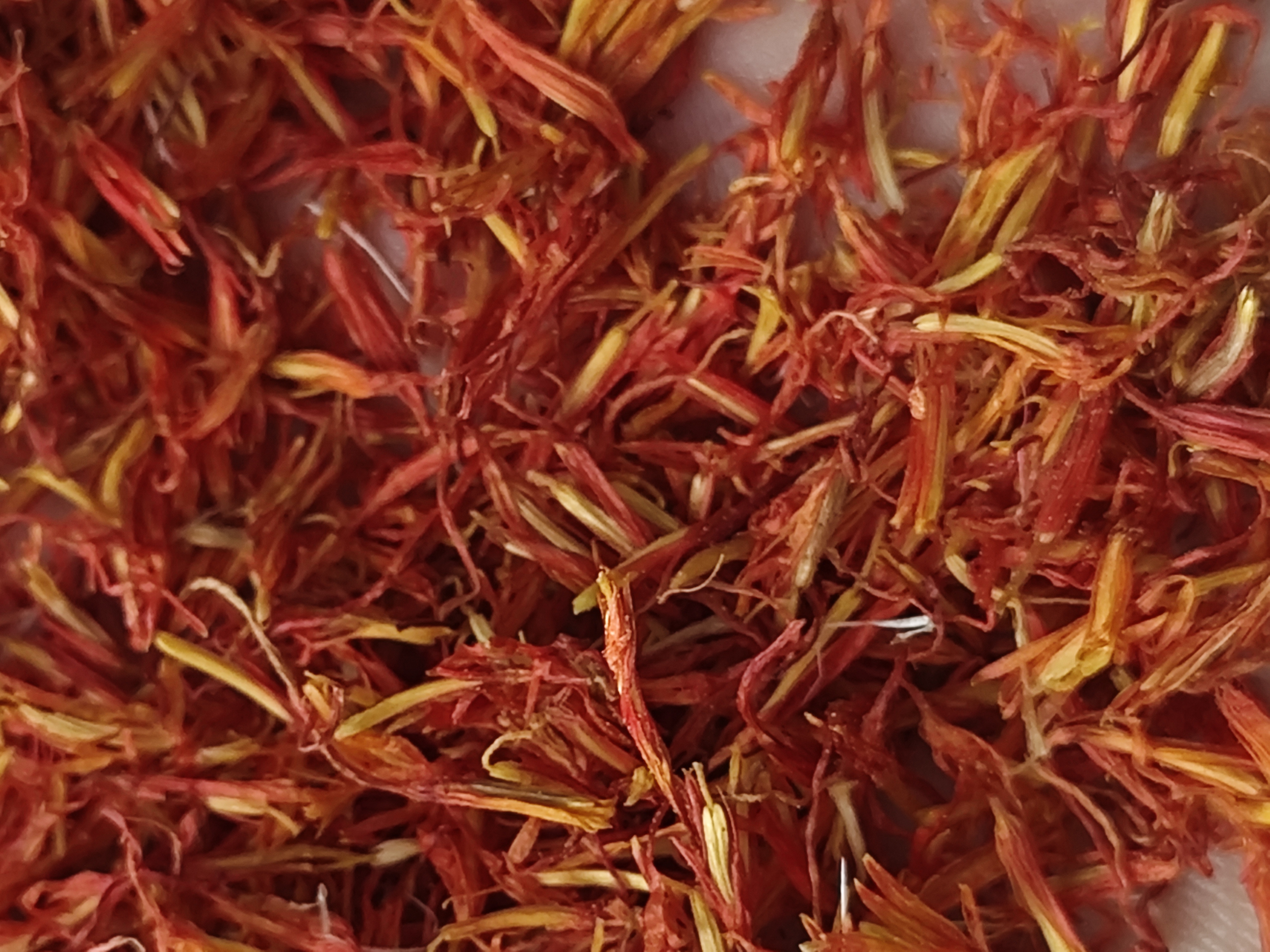 Safflower