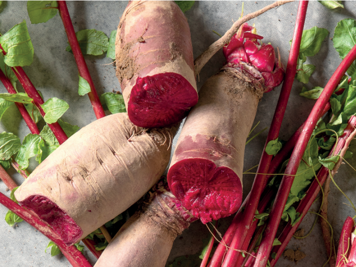 【Rosso barbabietola】 Colore naturale consigliato da AAFUD