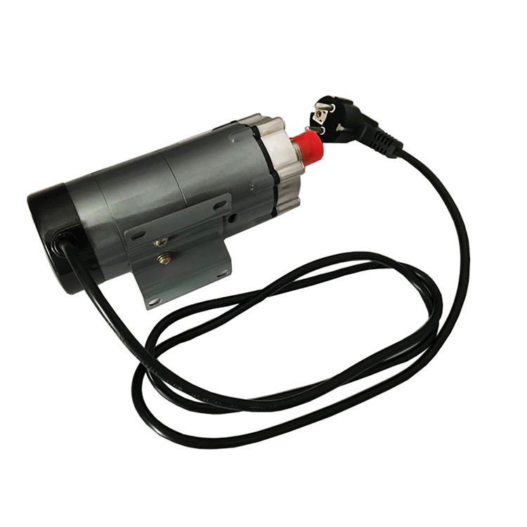 Liquid Electric Food Grade Magnetic Mini Pump Wholesale