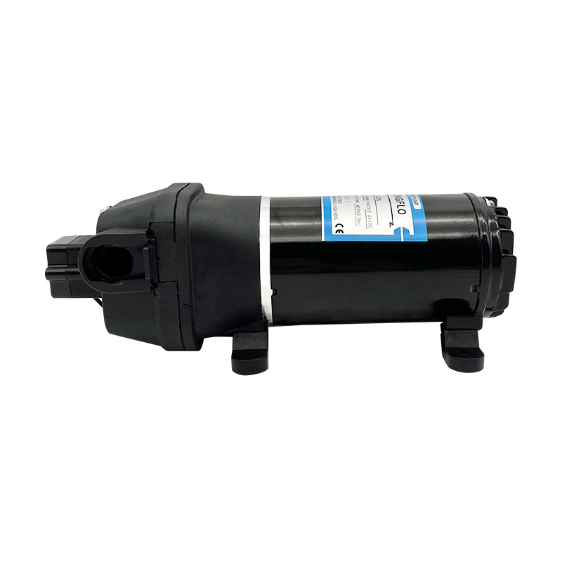 FL-40N 4.5gpm Dual Voltage Automatic Variable Speed Water Pump Wholesale