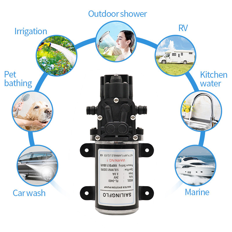 100psi 5LPM small high pressure water pump 24V dc agricultural spray pump Wholesale