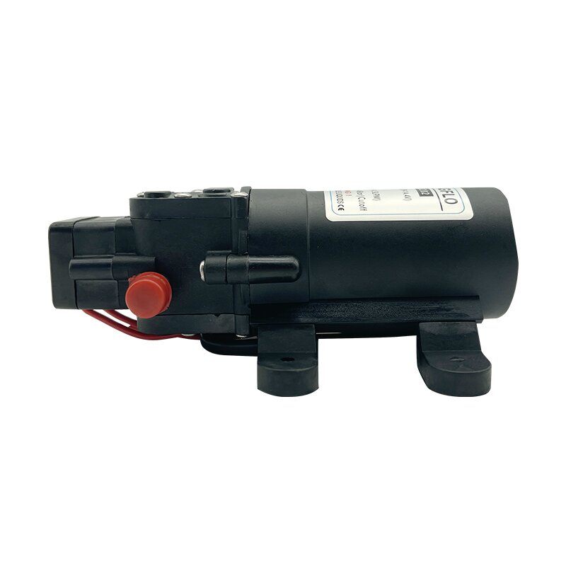 FLO-2202 12v dc electric 4.3LPM mini water pump Wholesale