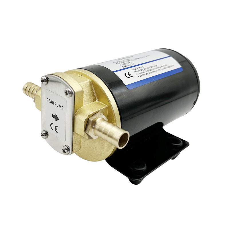 Pompa Di Trasferimento Carburante 12V DC In Acciaio Inox | Per Gasolio, Olio E Acqua | Portatile Con Interruttore On/Off