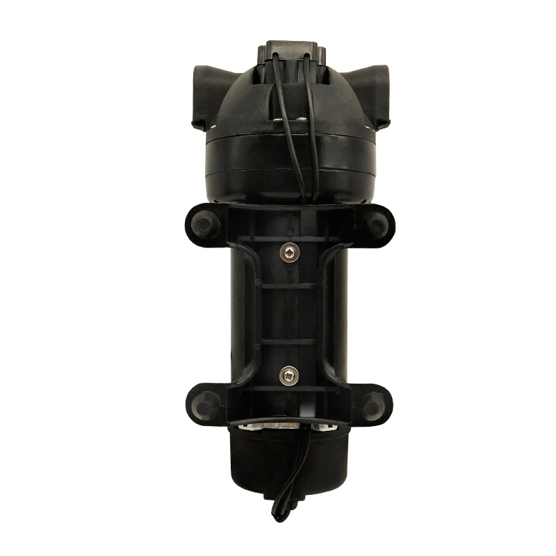 FL-200M 220VAC 10LPM 200psi Electric Cleaning Diaphragm Pump Wholesale