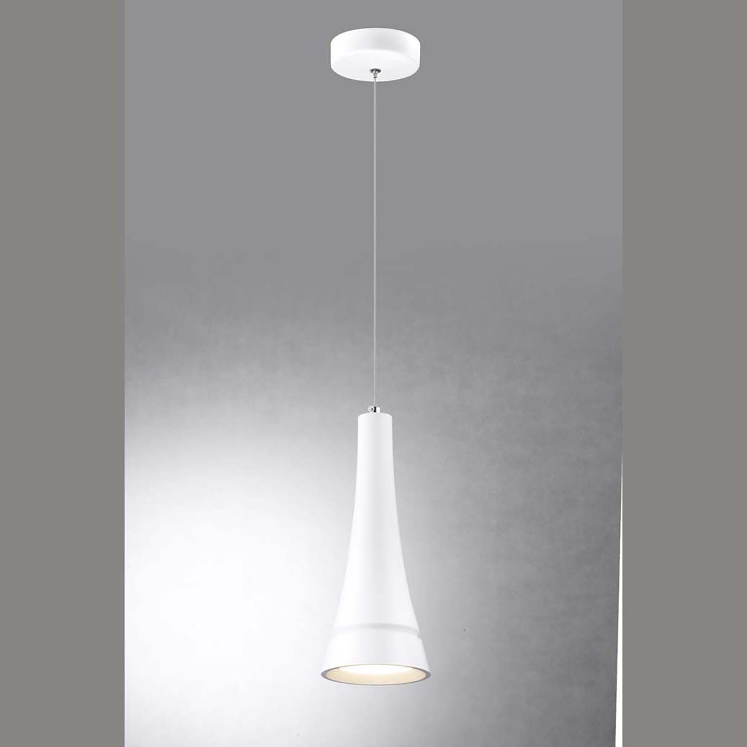 Dining room pendant light