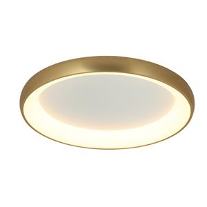 Ceiling Lamp