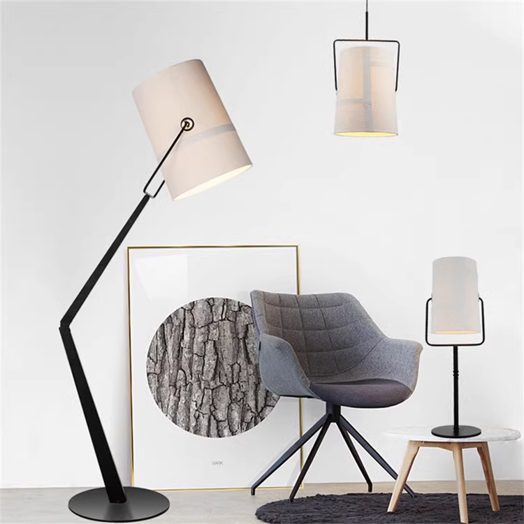 Nordic Classical Design Decorative Corner Standing Unique Led Curve Floor Lamp